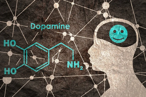 What’s Dopamine & How To Supplement It For Boosting Focus & Memory